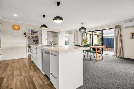 Photo of property in 10 Greenstone Street, Rolleston, 7614