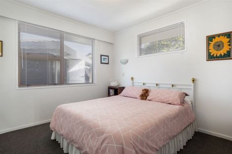 Photo of property in 44 Matua Road, Matua, Tauranga, 3110