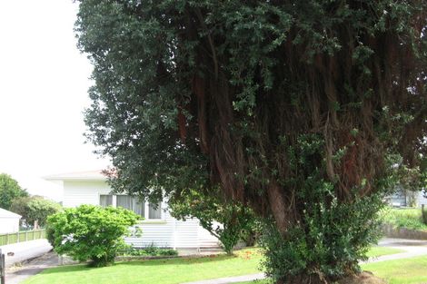 Photo of property in 24 Pine Street, Mangapapa, Gisborne, 4010