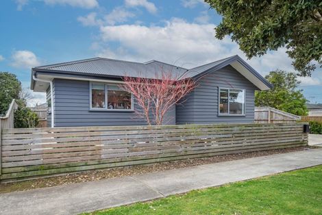 Photo of property in 30 Duke Street, Levin, 5510