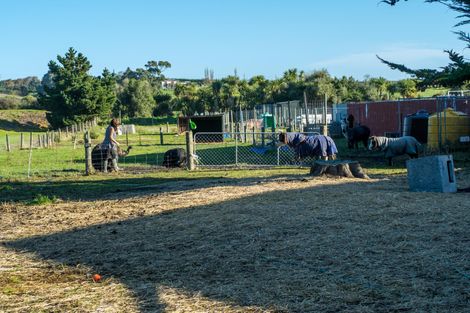 Photo of property in 17 Shaw Street, Redruth, Timaru, 7910