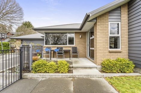 Photo of property in 9a Bronte Place, Leamington, Cambridge, 3432