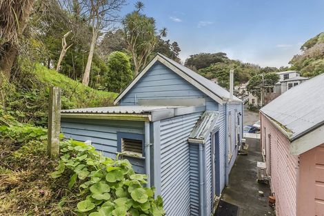 Photo of property in 207 Aro Street, Aro Valley, Wellington, 6021