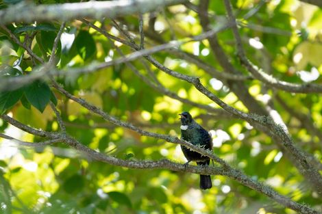 Photo of property in 8 Herbert Drive, Whangamata, 3620
