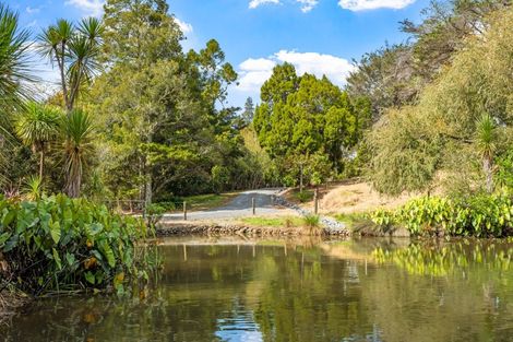 Photo of property in 215 Kaipara Flats Road, Warkworth, 0981