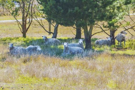 Photo of property in 1897 South Eyre Road, Eyrewell, Rangiora, 7476