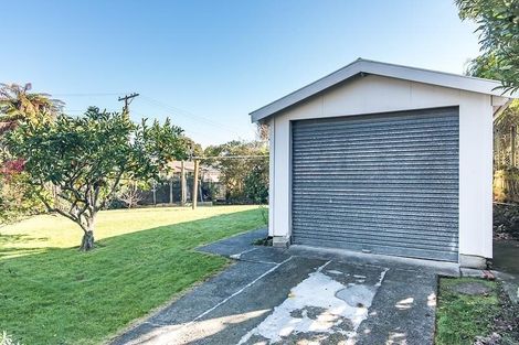 Photo of property in 119 Amohia Street, Paraparaumu, 5032