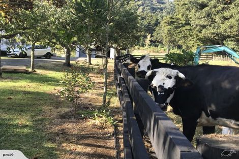 Photo of property in 1449 State Highway 14, Maungatapere, Whangarei, 0179