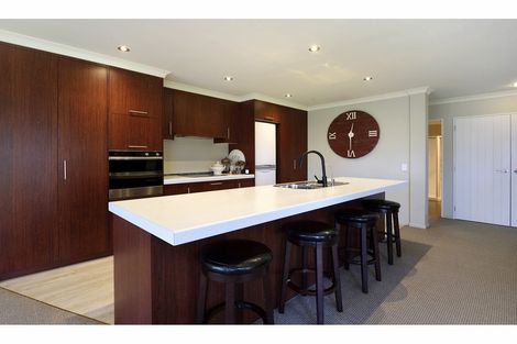 Photo of property in 24 Park Drive, Richmond, 7020