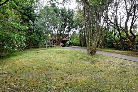 Photo of property in 136 Seaview Road, Piha, New Lynn, 0772