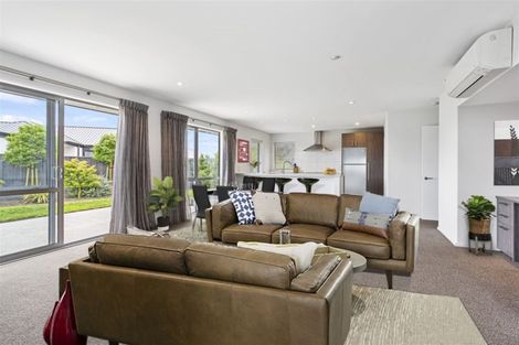 Photo of property in 110 Infinity Drive, Pegasus, 7612