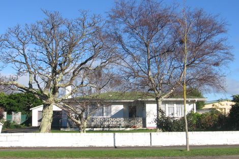 Photo of property in 196 Botanical Road, Takaro, Palmerston North, 4412