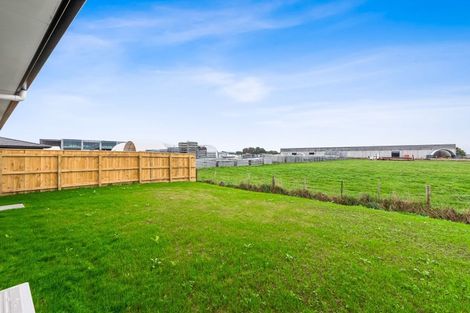 Photo of property in 115 Hinemoa Street, Levin, 5510