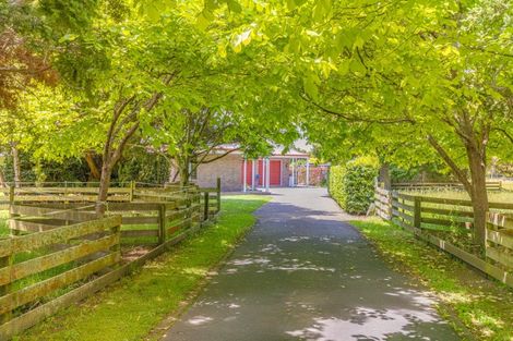 Photo of property in 31 Tararua Drive, Upper Plain, Masterton, 5888