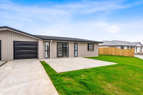 Photo of property in 115 Hinemoa Street, Levin, 5510