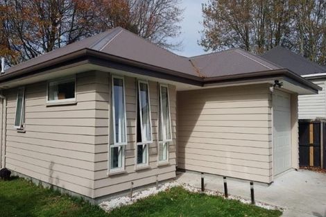 Photo of property in 20 Olliviers Road, Phillipstown, Christchurch, 8011