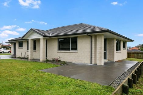 Photo of property in 32 Cambridge Street, Putaruru, 3411