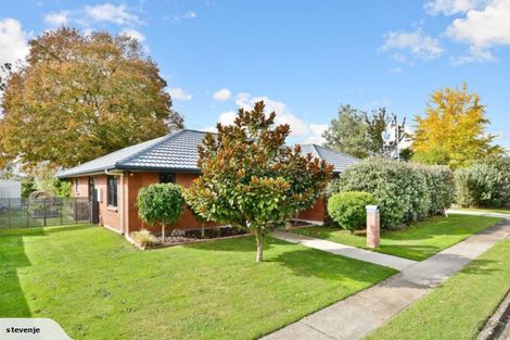 Photo of property in 43 Overdale Road, Putaruru, 3411