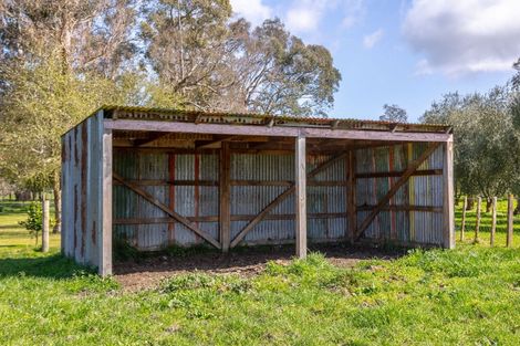 Photo of property in 53 Oak Street, Masterton, 5810