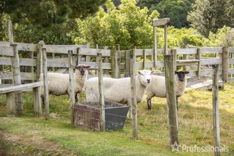Photo of property in 91 Boar Bush Gully Road, Featherston, 5710