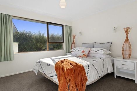 Photo of property in 213c Fifteenth Avenue, Tauranga South, Tauranga, 3112