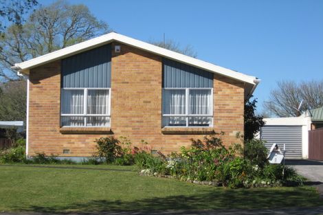 Photo of property in 8 Harlock Place, Huntly, 3700