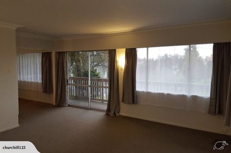 Photo of property in 133 Fitzroy Avenue, Fitzroy, Hamilton, 3206