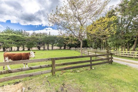 Photo of property in 54 Byrne Road, Takapau, 4287