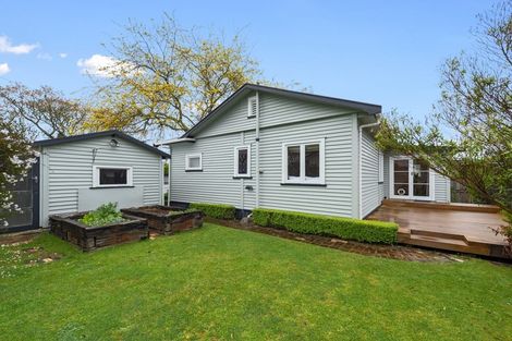 Photo of property in 55 Brookfield Street, Hamilton East, Hamilton, 3216