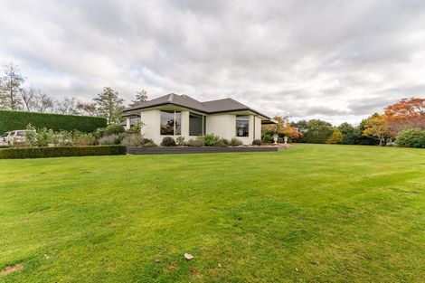 Photo of property in 398 Pages Road, Gleniti, Timaru, 7974