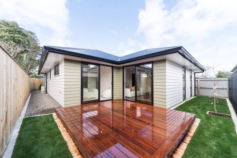 Photo of property in 24a Alfred Street, Roslyn, Palmerston North, 4414