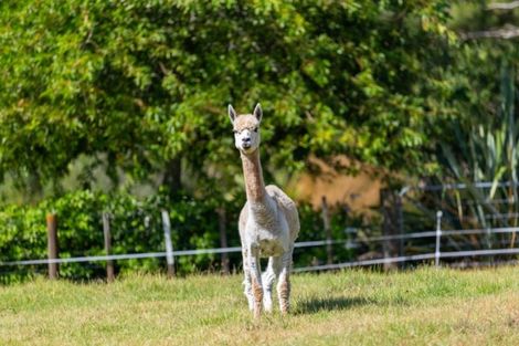 Photo of property in 69 Oak Lane, Coatesville, Albany, 0793