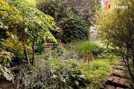 Photo of property in 5 Broomlea Street, Wakari, Dunedin, 9010