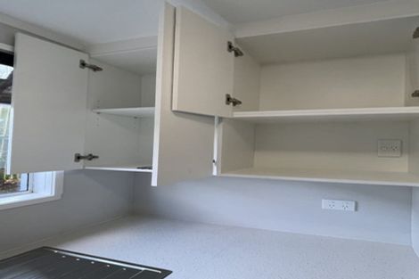 Photo of property in 57 Tripoli Road, Panmure, Auckland, 1072