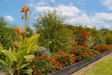 Photo of property in 139 Miro Street, Manunui, Taumarunui, 3924