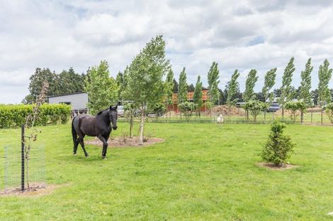 Photo of property in 126 Gladstone Road, Levin, 5571