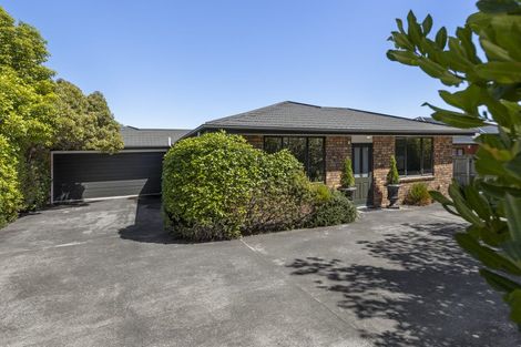 Photo of property in 142 Maxwell Road, Redwoodtown, Blenheim, 7201