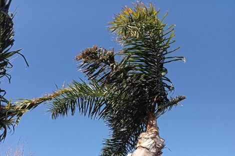 Photo of property in 40 Judea Road, Judea, Tauranga, 3110