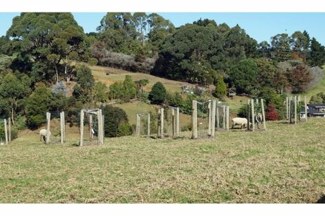 Photo of property in 167 Wymer Road, Glenbrook, Waiuku, 2681