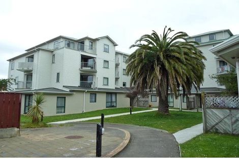 Photo of property in Palm Grove Apartments, 9/13a Palm Grove, Berhampore, Wellington, 6023