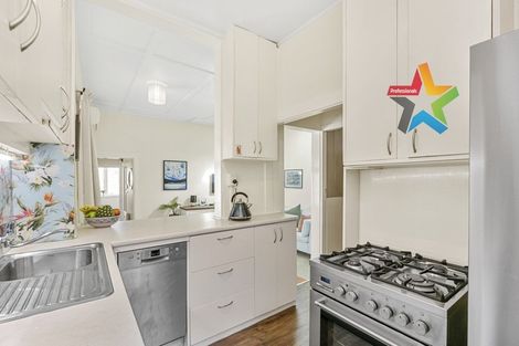 Photo of property in 111 Elizabeth Street, Mount Victoria, Wellington, 6011