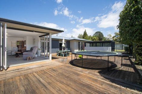 Photo of property in 1 Violet Street, Waihi, 3610