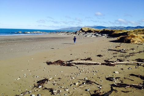 Photo of property in 1 Nunu Drive, Flat Point, Masterton, 5883