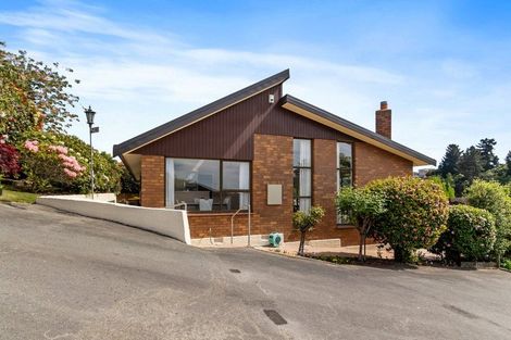 Photo of property in 209b Douglas Street, Highfield, Timaru, 7910