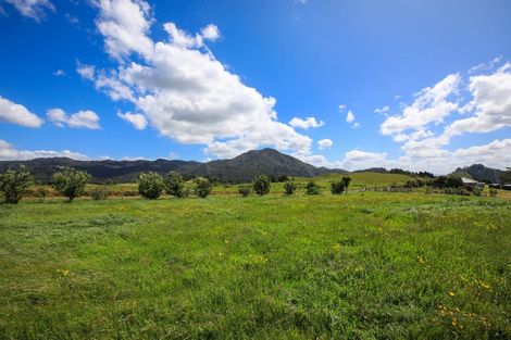 Photo of property in 132 Swetman Road, Waikino, Waihi, 3682