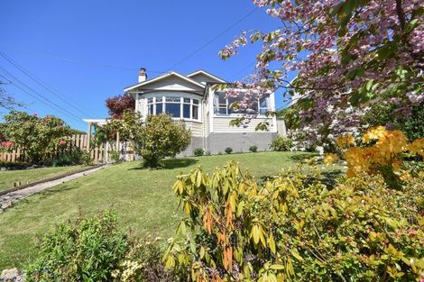 Photo of property in 25 Crosby Street, Mornington, Dunedin, 9011