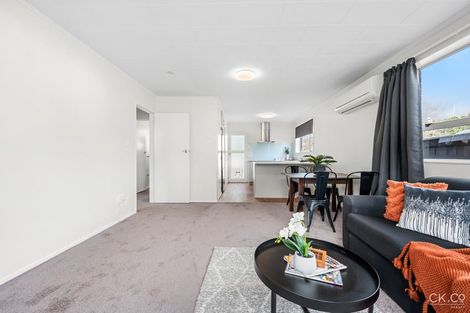 Photo of property in 1/31 Gemstone Drive, Birchville, Upper Hutt, 5018