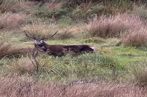 Photo of property in 1161 Marsden Road, Marsden, Greymouth, 7872