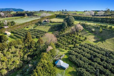 Photo of property in 333 Paerata Ridge Road, Waiotahe, Opotiki, 3198