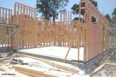 Photo of property in 21 Annmarie Avenue, Totara Park, Auckland, 2019